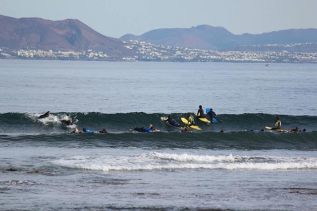  in a group in the water 